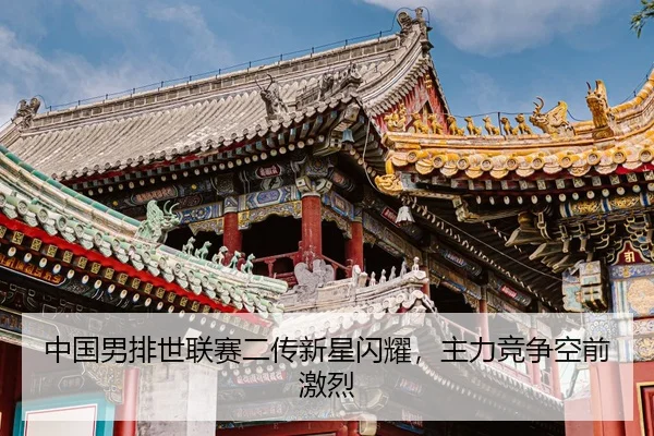 zhong-guo-nan-pai-shi-lian-sai-er-chuan-xin-xing-shan-yao-zhu-li-jing-zheng-kong-qian-ji-lie-3-499.jpg