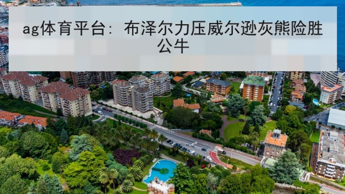 ag体育平台: 布泽尔力压威尔逊灰熊险胜公牛