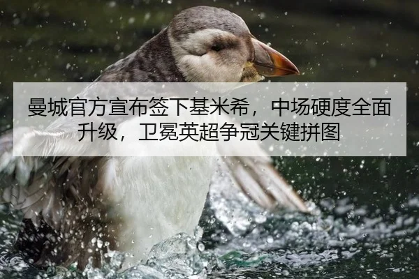 曼城官方宣布签下基米希，中场硬度全面升级，卫冕英超争冠关键拼图